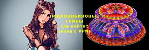 ПСИЛОЦИБИНОВЫЕ ГРИБЫ Балахна