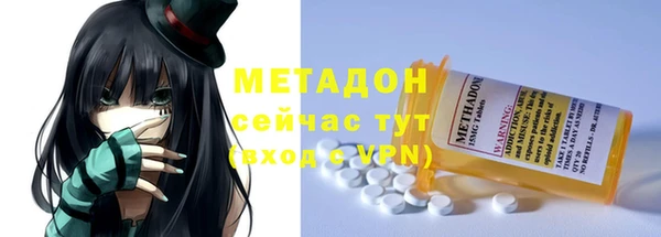 индика Елабуга