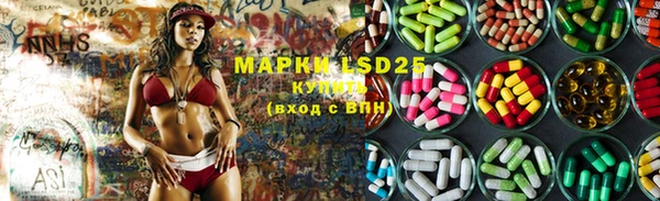 ПСИЛОЦИБИНОВЫЕ ГРИБЫ Балахна