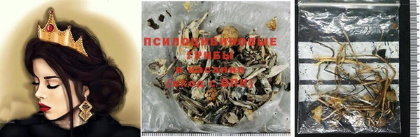 дживик Баксан