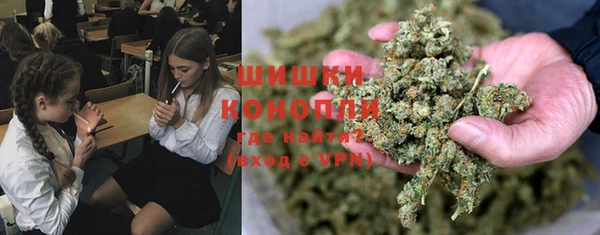 ПСИЛОЦИБИНОВЫЕ ГРИБЫ Балахна