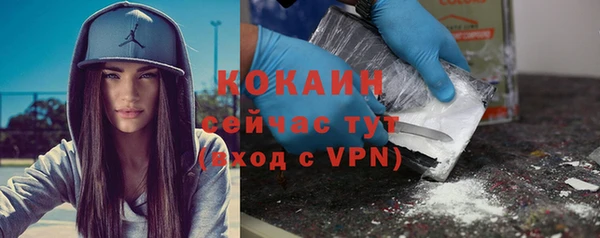 дживик Баксан